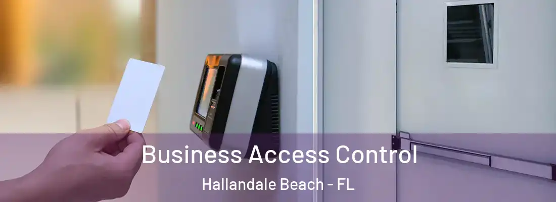 Business Access Control Hallandale Beach - FL