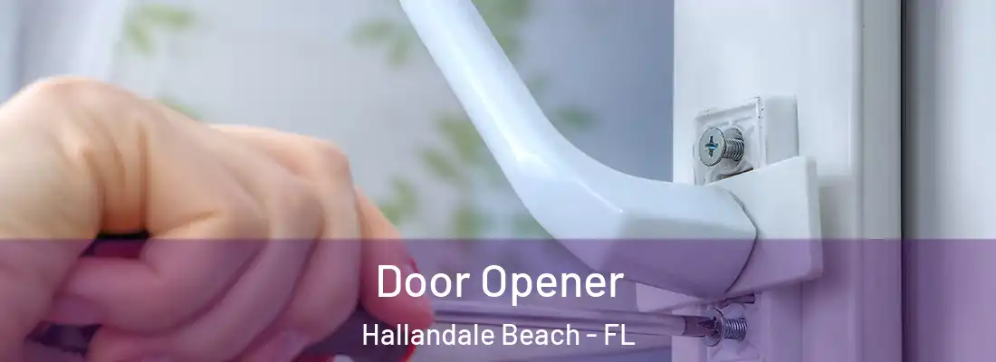Door Opener Hallandale Beach - FL