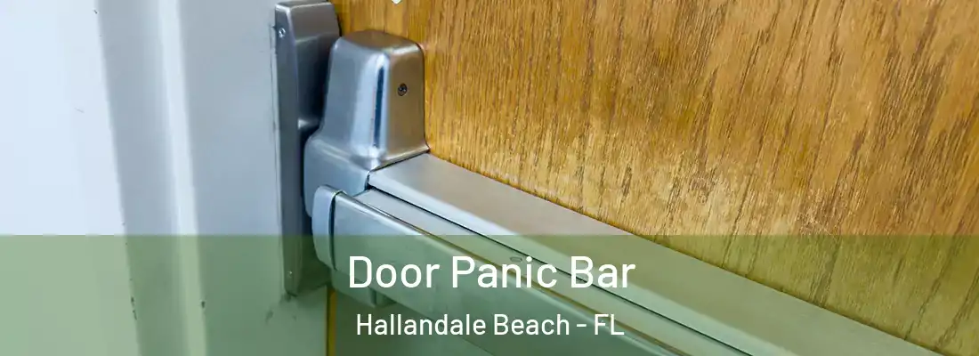 Door Panic Bar Hallandale Beach - FL