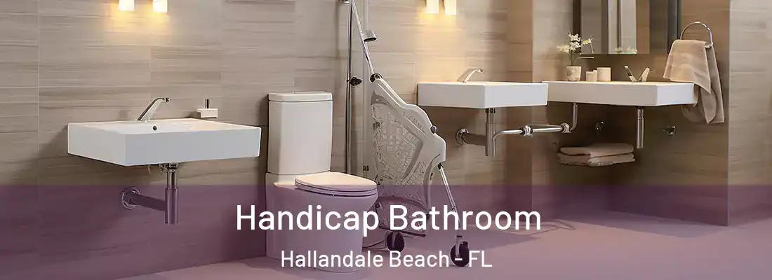 Handicap Bathroom Hallandale Beach - FL