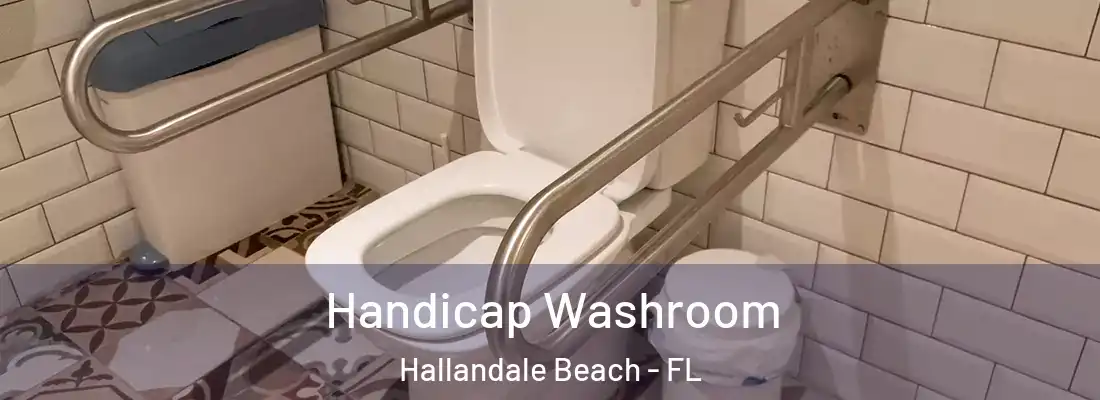 Handicap Washroom Hallandale Beach - FL